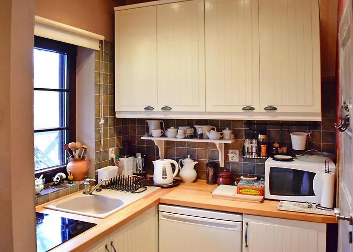 Near Dabrowskie Prázdninový dům